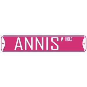   ANNIS HOLE  STREET SIGN