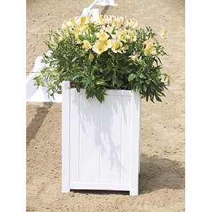  Dressage Arena Flower Box