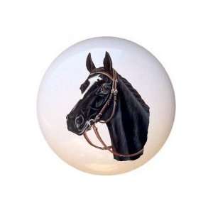  Black Beauty Horse Horses Equestrian Drawer Pull Knob 