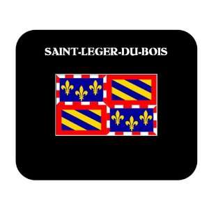  Bourgogne (France Region)   SAINT LEGER DU BOIS Mouse 