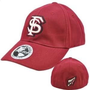 Florida State Seminoles FSU Noles Applique Patch Hat Cap NCAA Flex Fit 