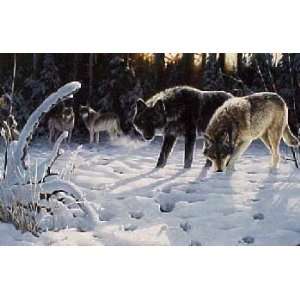  Persis Clayton Weirs   Winters Quest   Wolves