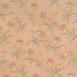   Old Primrose Inn quilting Fabric Apricot Buds Arts, Crafts & Sewing