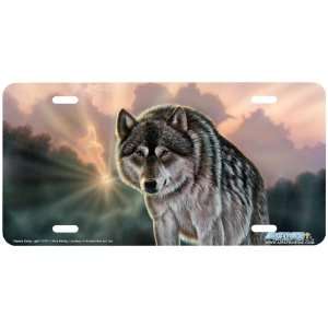 5707 Dawns Early Light Wolf License Plates Car Auto Novelty Front 