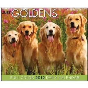  Goldens 2012 Desk Calendar By Willow Creek Press Office 