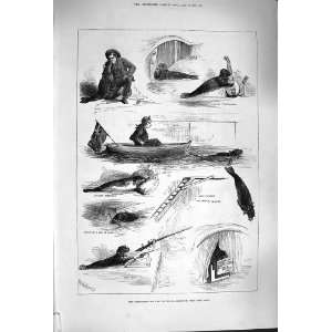  1879 PERFORMING SEAL ROYAL AQUARIUM ANTIQUE PRINT
