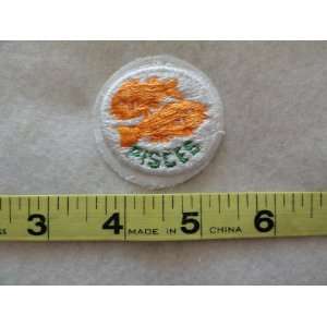  Pisces Patch 