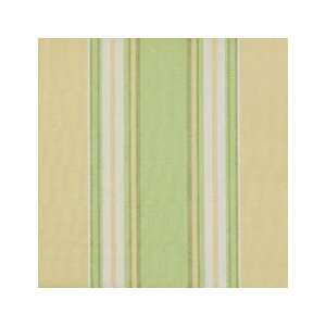    Vertical Stripe Gold green 31508 68 by Duralee