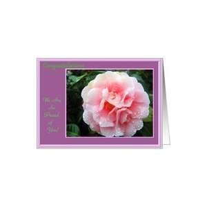   Camellia with Raindrops on Mauve, Congratulations   Proud of You Card