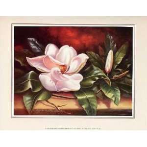  One Magnolia artist Peggy Thatch Sibley prints