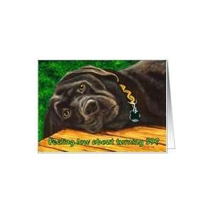  Funny Birthday ~ 39 Years Old ~ Labrador Dog Card Toys 