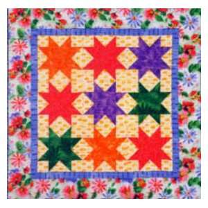   Star Quilt Pattern by Alex Anderson for C&T Arts, Crafts & Sewing