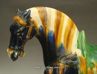 Rare Chinese Tang sancai Blove Glaze Horse Statue  