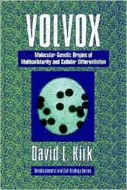 Volvox A Search for the Molecular and Genetic Origins of 