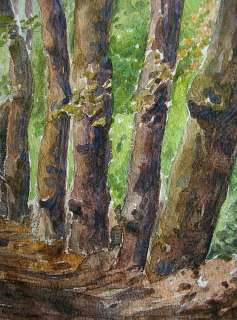 WATERCOLOR PAINTING BELGIAN R. WILLIG FOREST c1945  