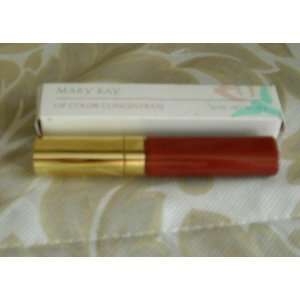    Mary Kay Lip Color Concentrate in Brick #5750 
