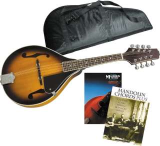 Rogue Acoustic/Electric Mandolin Package  