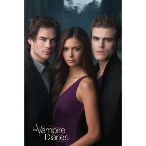 Vampire Diaries Damon, Stefan and Elena Poster