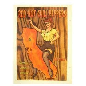  Red Hot Chili Peppers Deftones Poster The 