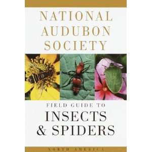 Audubon Field Guide Book Insects & Spiders