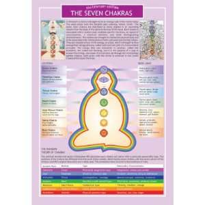 The Seven Chakras Laminated and Detailed Two Sided Color Informational 