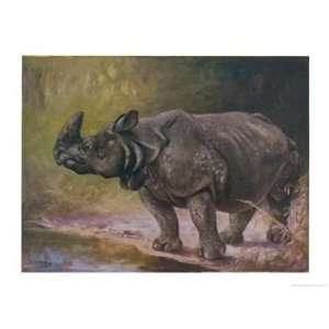  An Indian One Horned Rhinoceros Animals Giclee Poster 