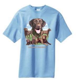 Chocolate Lab Labrador Lawn Dog T Shirt S  6x  