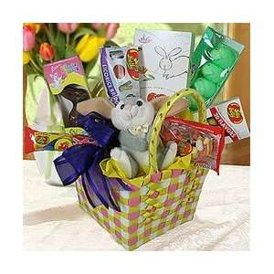 Jelly Belly Jelly Bean Fun Bunny Rabbit Easter Basket   Gourmet Food 