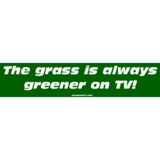    The grass is always greener on TV Large Bumper Sticker Automotive