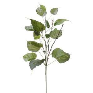  34 Bodhi Tree Leaf Spray W/Berry Two Tone Green (Pack of 