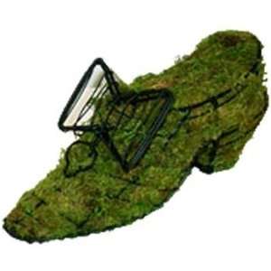  Ladys Slipper 5 Mossed Topiary Frame