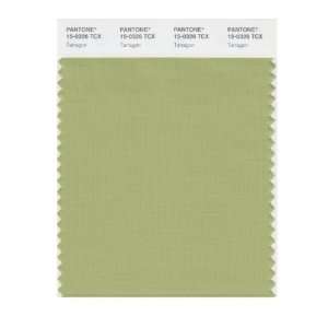  PANTONE SMART 15 0326X Color Swatch Card, Tarragon