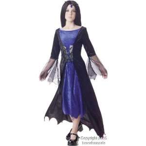  Childs Gothic Sorceress Costume (SizeSmall 6 8) Toys 
