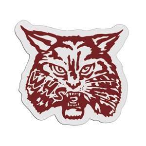  Wildcat Mascot Badge