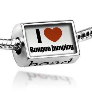  Beads I Love bungee jumping   Pandora Charm & Bracelet 