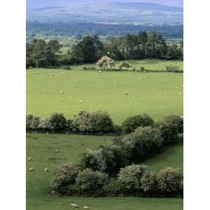 View from Rock of Cashel, Plain of Tipperary, County Tipperary, Eire 