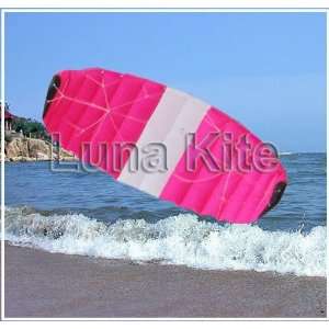 1.5sq m traction kite/power kite two dual line power kite 