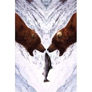 Two Bears For One Fish by Anonymous Anonymous 24x36 