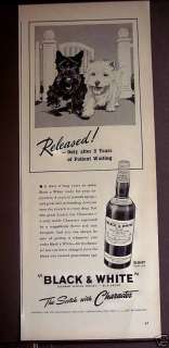 1939 SCOTTISH TERRIOR DOGS Black & White Whisky Ad  