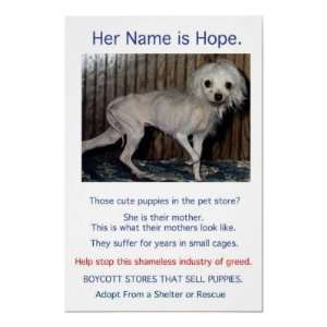  Puppy Mills Breed Misery Poster
