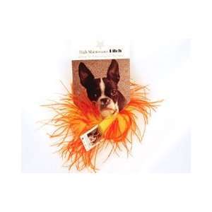  Sizzling Yellow and Orange Dog Boa (Medium) Kitchen 