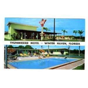  Thunderbird Motel Postcard Winter Haven Florida 
