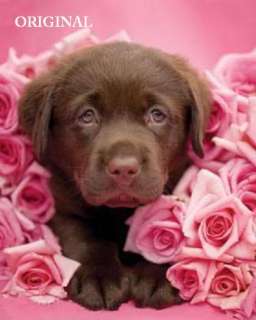 Chocolate Lab Puppy w Roses Cross Stitch Pat Dogs TBB  