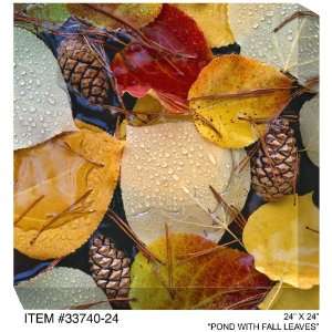 All Weather Art Pond With Fall Leaves Print