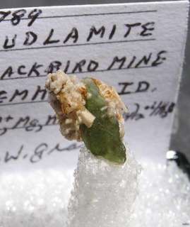 RARE LUDLAMITE CRYSTAL   BLACKBIRD MINE, IDAHO 13217  