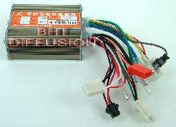 24V 10Ah Li Polymer Battery BMS + Charger 2Kg  