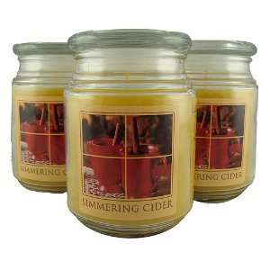 Pack Of 3 Simmering Cider Scented 20 Oz. Jar Candles  