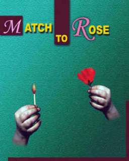 Deluxe LIT MATCH TO CLOTH ROSE Disappearing Flower Magic Trick Fire 