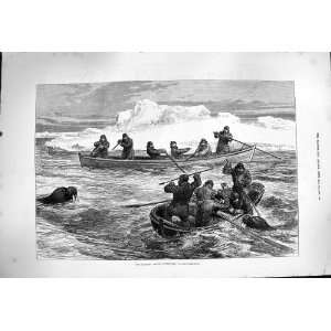  1877 Pandora Arctic Expedition Walrus Shooting Boats