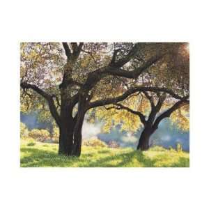  Altadena Morning by Paul Fortis, 47x35